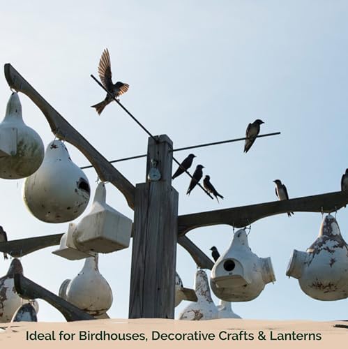 10 Purple Martin Bird House Gourd Seeds for Planting (Lagenaria Siceraria) – Bottle Gourd, Calabash, Lauki, Opo, Heirloom Vegetable Garden Seeds – Gourds for Crafts, Martin Houses for Outdoors