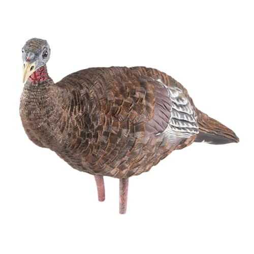 Avian-X LCD Feeder Hen Turkey Decoy with X-Factor Motion System – Realistic Lifelike Collapsible Standing Turkey, Durable Design, Carry Bag & Collapsible Stake for Hunting - style: LCD Breeder Hen