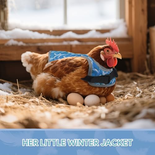 Chicken Saddles for Hens, Chicken Aprons for Hens with Adjustable Straps, Hen Saddle for Chickens - color: Blue,Green,Grey