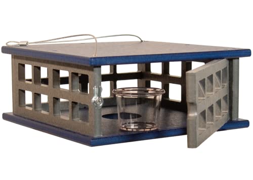 Recycled Poly Lumber Caged Platform Bluebird Mealworm Feeder (Gray/Blue) - color: Gray/Blue