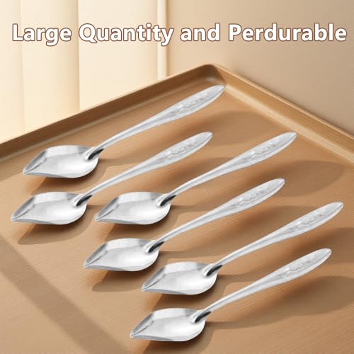 6 Pcs Bird Parrot Feeder Spoon Stainless Steel Hand Feeding Scoops for Small Birds