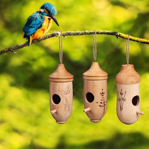 NUOBESTY Hummingbird House, 3 Pack Natural Beech Wood Bird House for Outside Hanging, Small Bird Nest Shelter for Finch Chickadee, Home, Outdoors, Garden Decor