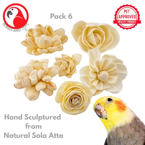 Bonka Bird Toys 3604 PK6 Sola Flower Foot Talon Craft Part Bird Toy Natural Foraging Chew Health Treat for Small to Medium Sized Birds and Other Small Pets