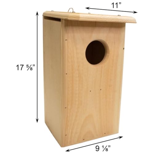 Bird Habitats Kestrel House