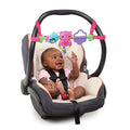 Bright Starts Busy Birdies Carrier Toy Bar Musical Take-Along Toy with Lights, Ages Newborn +, Pink - color: Busy Birdies