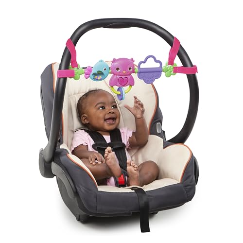 Bright Starts Busy Birdies Carrier Toy Bar Musical Take-Along Toy with Lights, Ages Newborn +, Pink - color: Busy Birdies