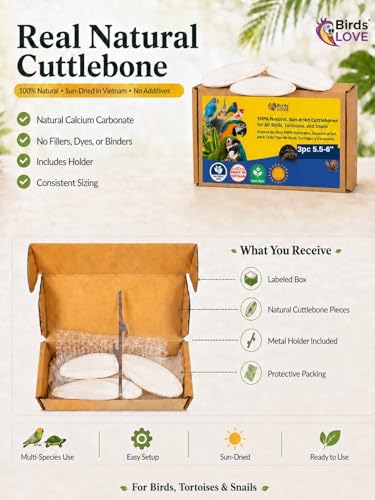Birds LOVE 5.5-6″ Cuttlebone for Birds – 100% Natural Sun-Dried Calcium & Beak Conditioning Supplement for Parakeets, Budgies, Cockatiels, Finches & Canaries – 3 Pack with Holder – Made in Vietnam - size: 3 Count (Pack of 1)