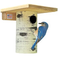 DutchCrafters Cedar Wood Pole Mount Gilbertson Bluebird House with Removable Base, Weatherproof Wooden Birdhouse Blue Bird Nesting Box for Outdoors - color: Natural