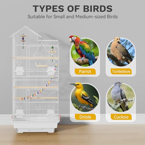 DWVO 62-inch Metal Bird Cage for Cockatiels, Parrots, Pigeons | Bird Cage for Cockatiels, Parrots, Pigeons, Lovebirds, Features Roof Access and Rolling Stand, White - color: White