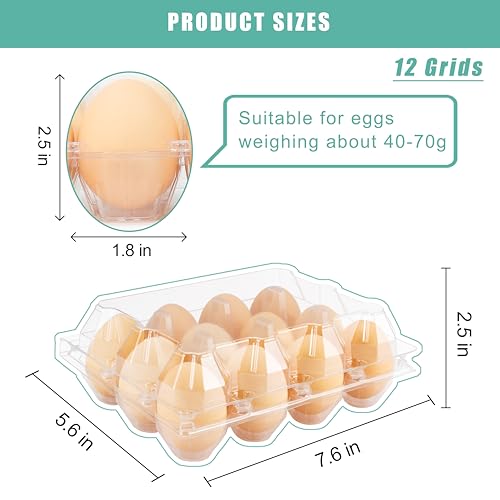 SINLUCESCE 100 Packs Egg Cartons Cheap Bulk, Plastic for 12 Eggs, Clear Egg Cartons 3 x 4 Grids, Perfect for Refrigerator Family Farm Commercial Business Market Display