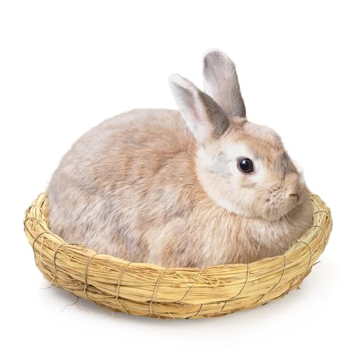 Eorbow 6 Packs Woven Straw Bird Nests, 8" Handmade Flat Base Spawning Nest, Small Animal Breeding Bed Hatch House Cage Accessories for Dove Pigeon Parrot Cuckoo Sparrow Rabbits Chinchillas Hamster
