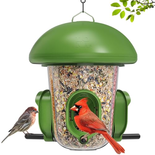 LONA Bird Feeders for Outdoors Hanging – 3 Separate Compartments, 3 Feeding Ports, Weatherproof Dome & 3 Ways to Hang, Large Capacity for Cardinals/Finches (Green | Weatherproof&Easy Clean, 3 Ports&3 Ways for Hanging, Large seed Capacity for Wild Birds, O