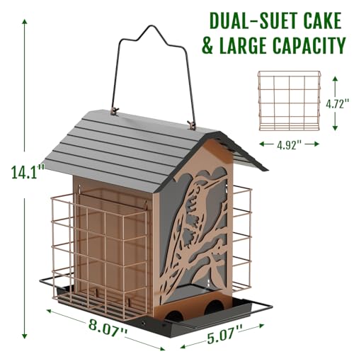 Birdream Bird Feeders for Outdoors, 5 Lbs Metal Bird Feeder with Double Suet Cages, 2 in 1 Mixed Seeds Suet Feeder, Large Capacity & Weatherproof Metal Roof, Attract Cardinals Wildbird Woodpecker