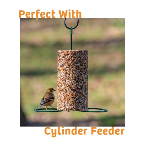 Birds Choice Trailblazin' Spicy Bird Seed | Squirrel Proof Wild Bird Food with Red Pepper | High-Energy Black Oil Sunflower Seeds, Peanuts & Safflower | High Protein & Fat Feeders | 5.1 lbs (2-Pack) | Squirrel Resistant Red Pepper Blend of Black Oil Sunfl