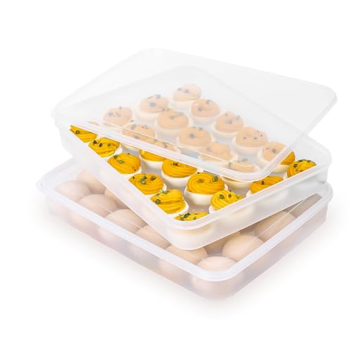 Deviled Egg Containers with Lid, (Set of 2), Stackable Deviled Egg Carrier for 48 Eggs, Clear Egg Holder for Fridge with Lid, Portable Plastic Deviled Egg Tray for Party, Easter Eggs Tray