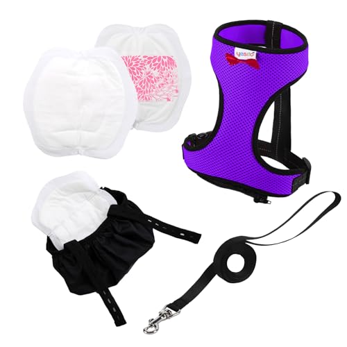 Adjustable Chicken Harness Diaper (5.4ft Leash) – Breathable & Washable Secure Training for Hens, Ducks & Chicks | Outdoor Walking & Discipline Solution (Small, Purple) - color: Purple, size: Small