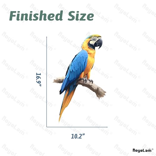 Blue and Yellow Macaw Bird Wall Decal Bird Animal Wall Sticker | Removable, waterproof, vinyl peel and stick wall art for nursery, classroom, living room, playroom, bedroom, and school