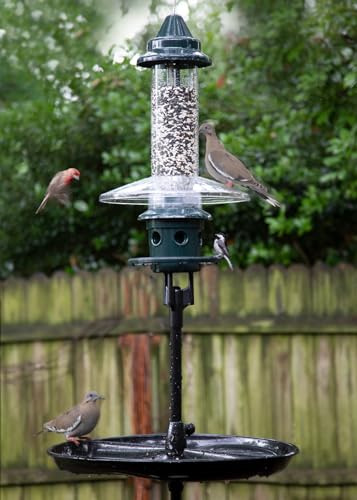 BirdsUP Single Pole for 1 Bird Feeder/Bird House, w/Bullseye Level and Torque Bar, 1-inch Outside Diameter, 5ft Installed