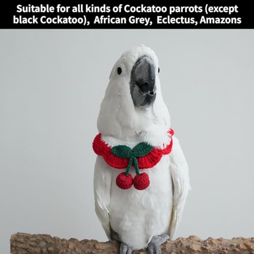 Bird Collar, Bird Clothes, Parrot Bird Supplies, Cute Collar for Medium and Large Birds Eclectus Cockatoo African Grey Amazon Bow Tie Scarf Super Cute Costume Photo Prop for Parrots (Necktie) - style: Necktie