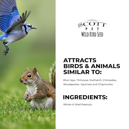 Scott Pet Wild Bird Seed, Whole Peanuts, 4 Lb Bag | A high-energy seed blend for outside wild birds that works with all feeder types