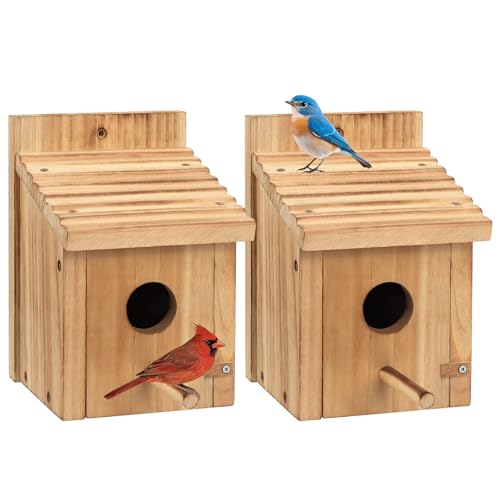 2 Pack Bird Houses for Outside,Garden Bird Houses for Outdoor,Wooden Birdhouses Kits for Bluebird Finch Swallow Wren Chickadee Assembly Required