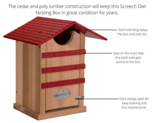 Screech Owl House Cedar Nesting Box with Poly Lumber Roof, Saw-Whet Owl Box for Outside, Drainage Ventilation, Easy Cleanout, Made in USA, Cardinal Red - color: Cardinal Red