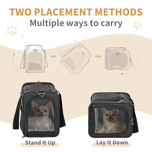 ‌Petsfit Airline Approved Pet Carrier for Small Dogs & Cats, 19x9x12 TSA Approved Carrier, with Removable Dual-Sided Padding (2-Way Placement) - Fits Under Most Airplane Seats, Escape Proof (Black) - color: Black, size: 19.0"L x 9.0"W x 12.0"H