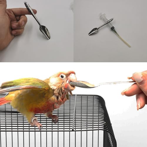 10pcs Parrot Feeding Tools Bird Parrot Feeding Tubes Food Syringe | Parrot Hand Feeding Syringe Set,with Spoon Tip&Tubes,for Feeding Milk,Liquid Food or Medication to Birds,Sick Birds - color: #1