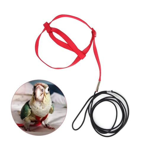 Parrot Harness Leash, Anti Bite Bird Training Leash Adjustable Parrot Flying Rope for Parrot Budgerigar Lovebird Cockatiel