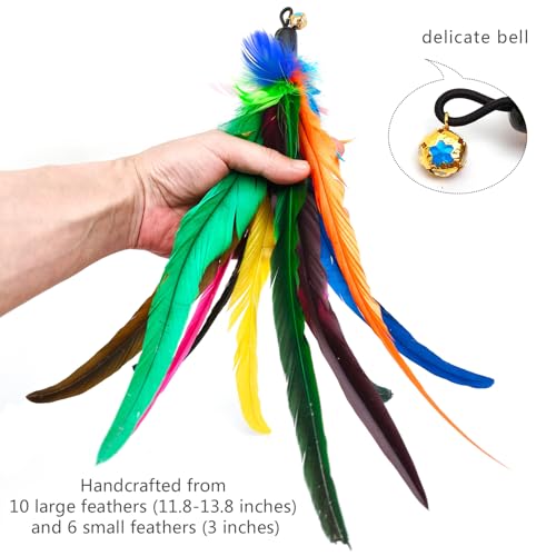miwoowim 2PCS Retractable Cat Teaser Wands & 9PCS Feather Refills Toy Set | Dual-size telescopic rods (50" & 38"), da bird feather attachments with bells replacement,interactive fishing pole toys - color: 11 PCS Retractable Wand Toy