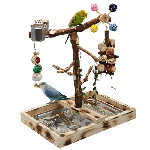 Large Natural Wood Bird Perch Playground for Small Parrots Budgies Conures Lovebirds
