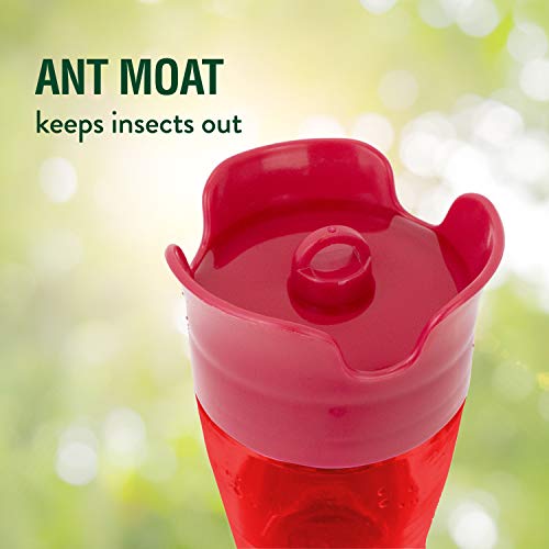 Perky-Pet Red Hummingbird Feeder - Pinch Waist Design for Easy Feeding - Humming Bird Feeder for Outdoors - 403CO - 8 oz Capacity (Pack of 6) - size: No Size (Pack of 6)