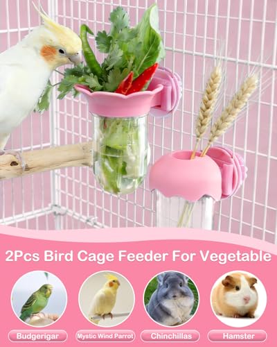 2Pcs Bird Cage Vegetable Feeder, Hanging Veggie Holder with Hydration Feature to Maintain Freshness, Easy-Clean Clip Feeder for Parakeet, Parrot, Lovebird, Budgie(Pink) - color: Pink