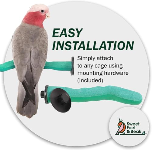 Sweet Feet and Beak Safety Pumice Perch - Trims Nails and Beak - Promotes Healthy Feet - Safe Non-Toxic Bird Supplies for Bird Cages - X-Large 14" - Purple - color: Purple, size: X-Large 14"