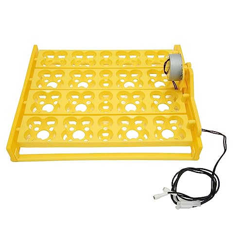 Automatic Egg Turner Tray - Multifunction Incubator Tray for 16 Duck Eggs, 72 Quail Eggs (DC12V) - size: DC12V