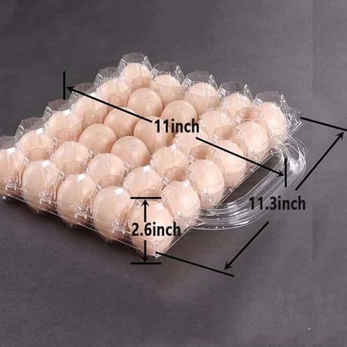 5*6grid Plastic Eggcarton with handle,egg cartons cheap bulk(30pc) | (5*6)30 grid Portable Clear Egg Cartons,Plastic egg carton with handle,,egg cartons cheap bulk,For Family, Farm, Markets. - size: 5x6 30 portable egg boxes, 30 pieces