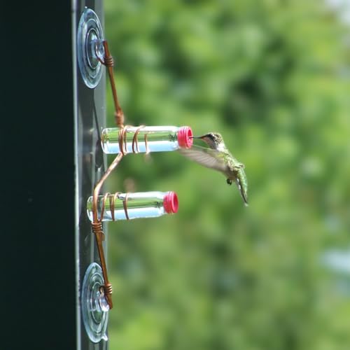 Geometric Window Hummingbird Feeder | Copper and Aluminum | Multiple Stations | Modern Hummingbird Feeder | Handcrafted | Home Décor | Glass Bottles | Suction Cups (Copper)
