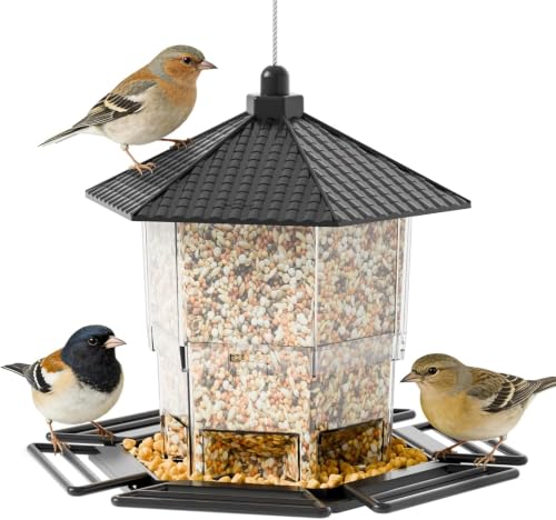 Hanging Bird Feeder for Outdoors,Large Hopper Squirrel Proof Birdfeeder for Cedar,Red,Cardinal,Blue Jay and Wild Birds,Easy to Feel Birdhouse & Bird Seed Feeder & Gazebo for Outside,Tree,Black - color: Black