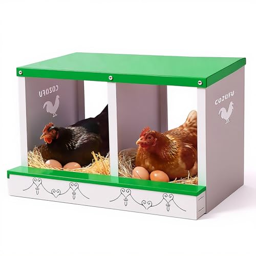 Chicken Nesting Boxes Rollout Egg Collection 2 Compartment Green - color: Green, size: 2 HOLE