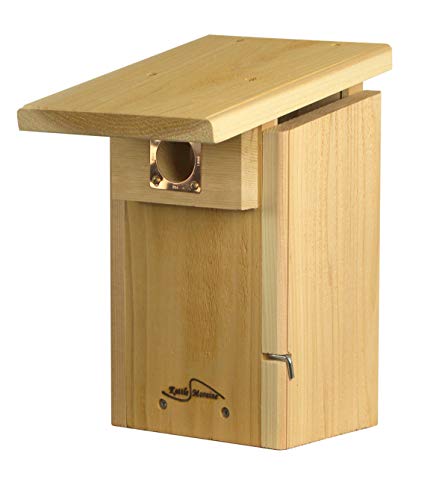 Cedar Super Bluebird House with Steel Pole Package (1)