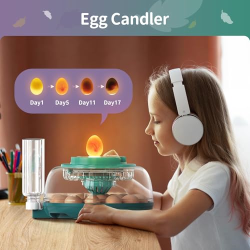 Automatic Egg Hatcher with LED Screen, Large Egg Incubator with Adjustable Turning & Humidity System, Transparent Lid Incubator for Chicken, Quail and Poultry Eggs (Holds 18 Eggs)