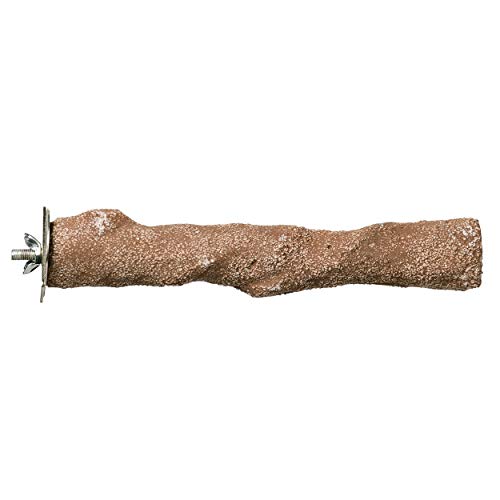 Prevue Pet Products Pacific Perch Beach Branch Large 1012,Assorted - size: Large