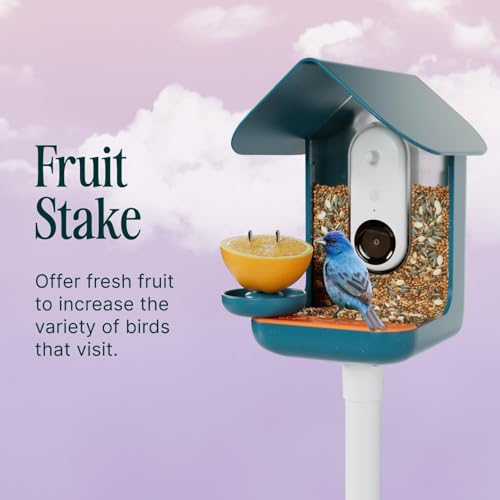 Birdbuddy 3-in-1 Nutrition Set with Water Fountain, Fruit Spike & Tray - size: 3-in-1 Nutrition Set