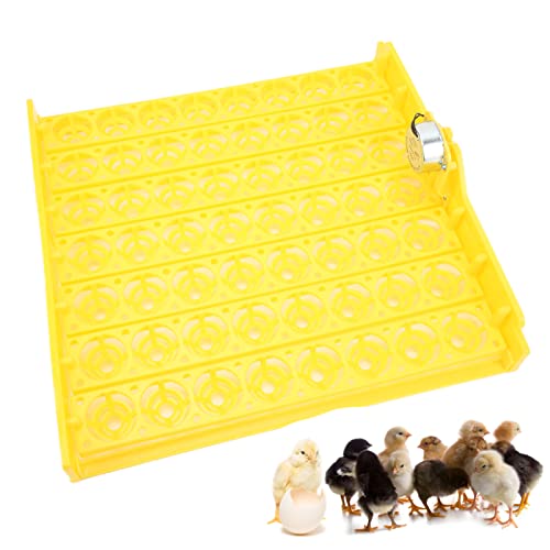 Automatic Egg Turner, 110V Swing Around 45 Degrees to Turn the Egg Tray Egg Hatching Tray 56 Eggs Fully Automatic Incubator(110V) - color: 110V