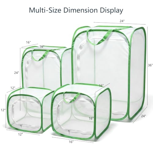 Insect & Butterfly Habitat Cage, Portable Pop-Up Terrarium with Mesh Sides, Bug Catching & Observation Enclosure for Caterpillars, Small Insects, Outdoor & Classroom Use, 12 Inches Tall - color: White/Green, size: 12 × 12 × 12 inches