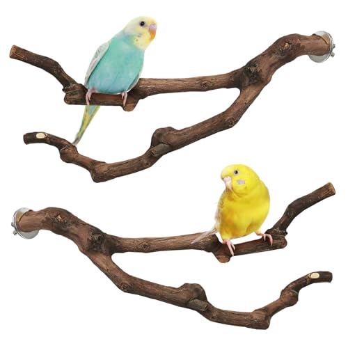 PINVNBY Natural Parrot Perch Grape Wood Bird Stand Pole Parakeet Paw Grinding Fork Chewable Climbing Branches Toy Bird Cage Accessories for Budgies Conures Cockatiels Lovebirds (2 PCS, 11.8IN) - size: 11.8in