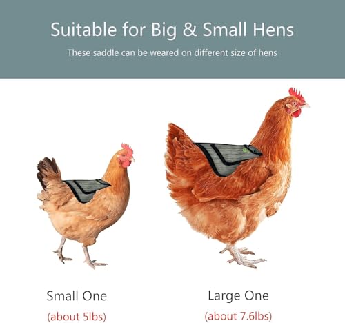Premium Chicken Saddle with Adjustable Strap,Poultry Saver，Feather Protector for Back and Sides,Outdoor Hen Apron2 Pieces