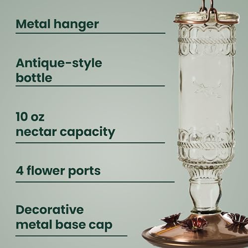 Perky-Pet Antique Glass Bottle Hummingbird Feeder - Outdoor Garden Décor Hummingbird Feeder - 8107-1SR - 10 Fl Oz Nectar Capacity - Durable Humming bird Feeder for Backyards, Porches, Decks, Hooks - style: Clear Bottle