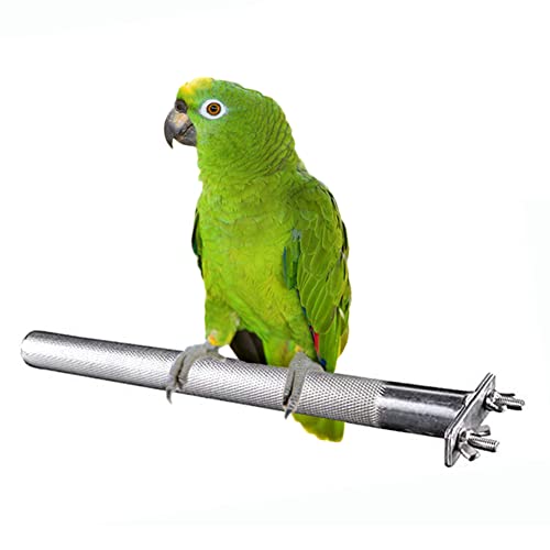 Bird Perch Stainless Steel Stand Parrot Rod Grinding Claws Trimming Beak Nails Grinding Stick Exercise Platform for Parakeet Cockatiel Conure African Grey Macaw Finch Bird Cage Accessories (L) - size: L: 11.79x 0.98inch