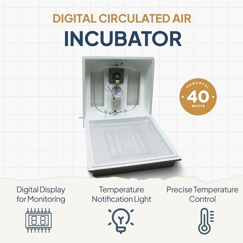 Farm Innovators 120 Volt 40 Watt Circulated Air Incubator for Up to 4 Eggs with Easy to Read Digital Display and Large Picture Window, White (3 Pack) - color: Digital Circulated Air, size: 3 Pack